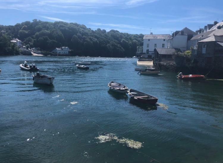 Fowey Landing Leilighet Eksteriør bilde